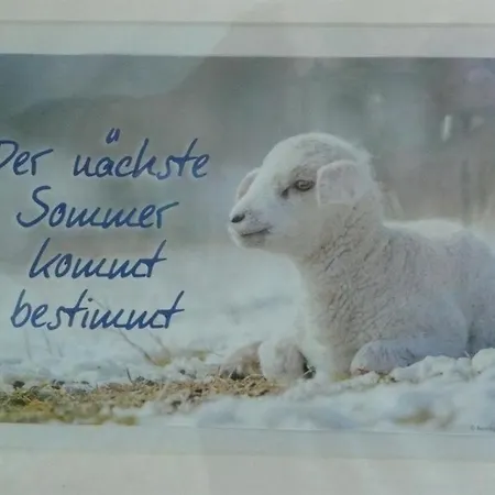 Schwalbennest *